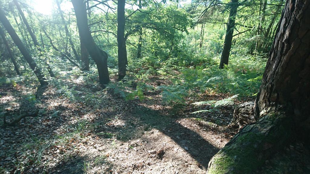 Ferienwohnung Hellwig Wendisch Rietz Luaran gambar