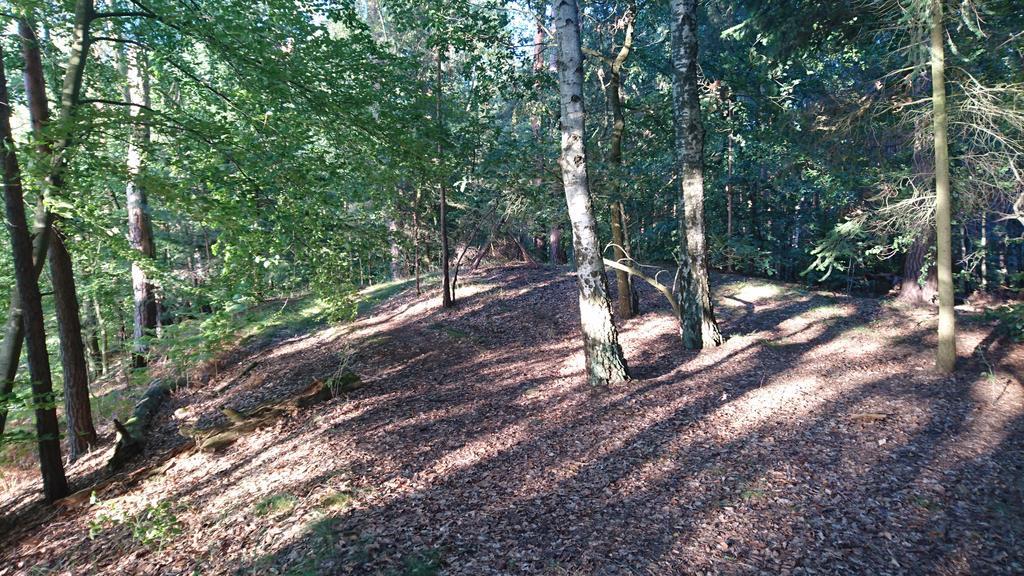 Ferienwohnung Hellwig Wendisch Rietz Luaran gambar